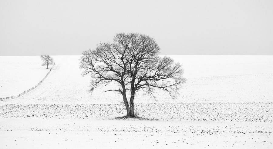 image_2024-03-15_151355574